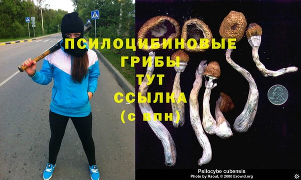 COCAINE Абаза