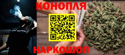 гашик Краснодар