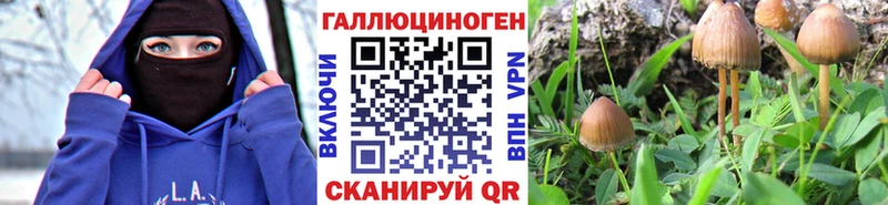 Псилоцибиновые грибы Psilocybine cubensis Усть-Кут