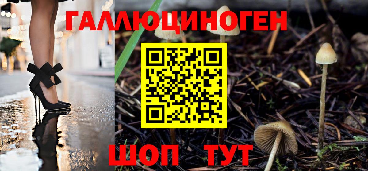 Псилоцибиновые грибы Magic Shrooms Усть-Кут