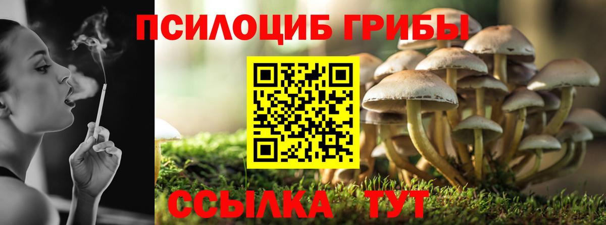 Усть-Кут  Псилоцибиновые грибы прущие грибы  Вход с VPN 